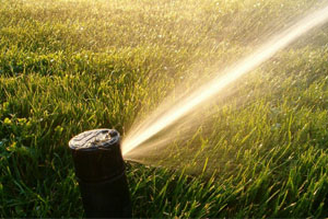 Austin Sprinkler System