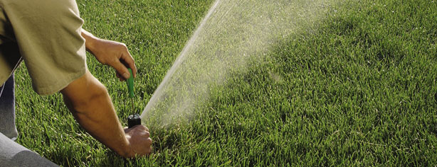 Adjust Your Sprinklers – Easy Ways to Conserve Water in Your Yard