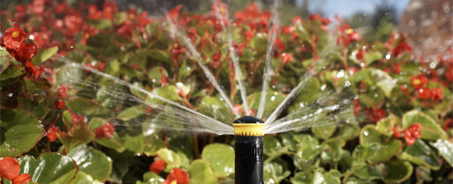 Save Water with New Sprinkler Heads
